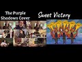 Sweet Victory - The Purple Shadows (Spongebob Version) (David Glen Eisley and Bob Kulick Cover)