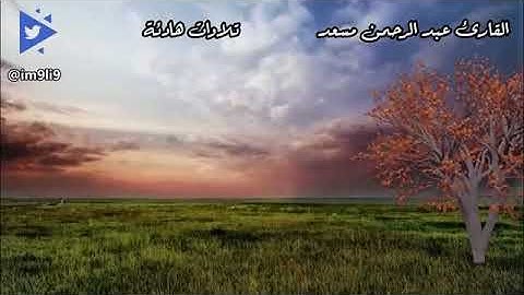 تلاوة خاشعة لسور المزمل النبأ الاعلى الماعون بصوت القارئ عبد الرحمن مسعد❤️❤️❤️❤️😢😴