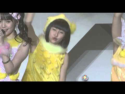 ピョコピョコ ウルトラ まーアングル (LIVE)