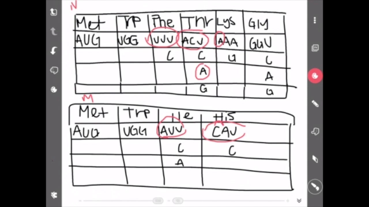 GN311 exam video 4.1 Frameshift Mutation - YouTube