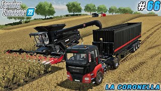 : Buying Cotton Harvester, Shifting from Corn to Sunflower Harvesting | La Coronella | FS 22 | ep #66
