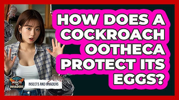 How Does A Cockroach Ootheca Protect Its Eggs? - Insects and Invaders