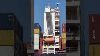 Msc Container ship youtubeshorts shorts