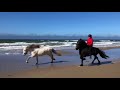 Islande  galop et tlt sur la plage  une aventure rando cheval agence de voyage questre
