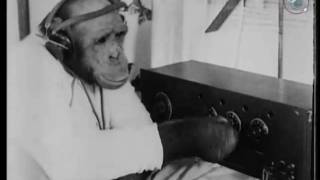 Have You Got Your License Yet? (1923)