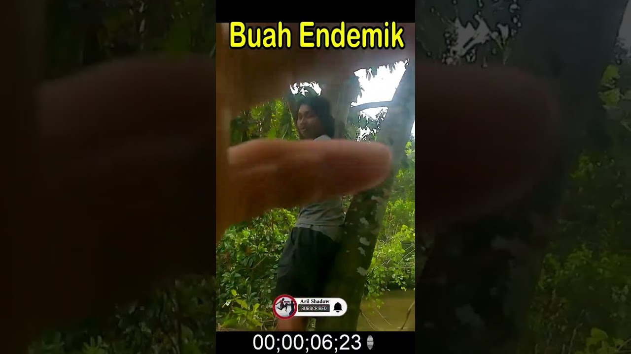 Buah Endemik ini dipinggir Sungai 