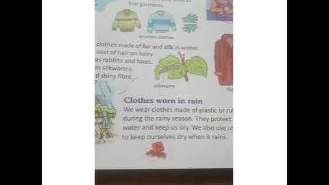 Class-II (EVS-Chapter 3-Our Clothes)