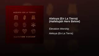 Elevation Worship - Aleluya (En La Tierra) (Hallelujah Here Below)

(Audio)