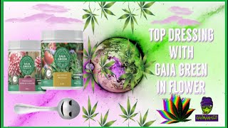 How To Top Dress Cannabis in Flower With Gaia Green | Recharge
