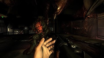 Doom 3 RoE Boss 2: Berserk Hunter- No Damage, Nightmare, No Artifact