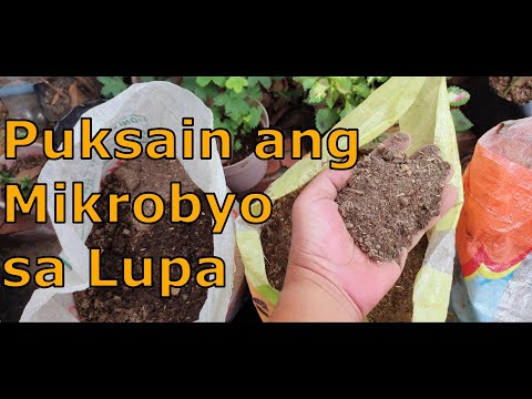 Video: Mga Tip Para sa Pag-solarize ng Mga Kama sa Hardin