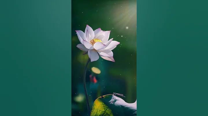 願你我每一天，都平安喜樂，順遂無憂，健康快樂，早安吉祥！#shorts #goodmorning #早安 - 天天要聞