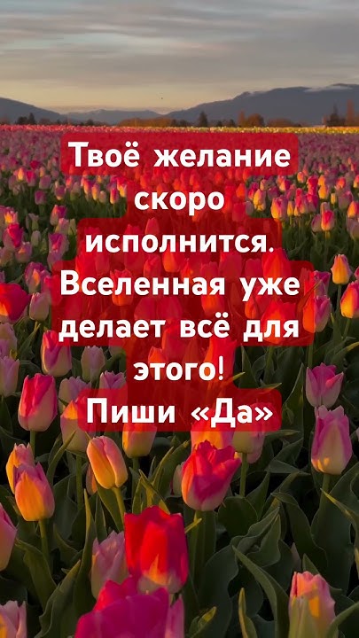 🔥Послание заряжено: на счастье, любовь, благополучие, успех и ...