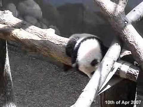 Mei Lan climbing - 10.04.07