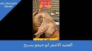 العميد الاصفر ابو جيجو يسبح Abo Chicho