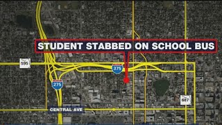 Pinellas student stabbed on bus with box cutter