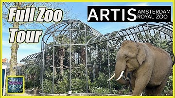 Inside the Artis Royal Zoo: An Amsterdam Hidden Gem