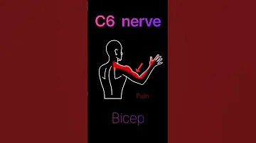 Pinched Nerve In The Neck Shorts 