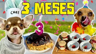 Primeira FESTA DE ANIVERSÁRIO / MESVERSÁRIO da POLENTA - 3 meses de vida! screenshot 5