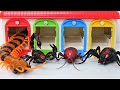 Tayo School is Under Attack by Toy Monster Insects, Giant Croc