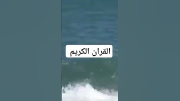 ما تيسر من القران الكريم #quran #المصحف #قرآن #الرحمن #قران_كريم