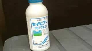 2008.09.16　セイビアフロアブル