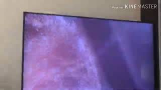 The Willoughbys Foxtel Movies Kids Intro