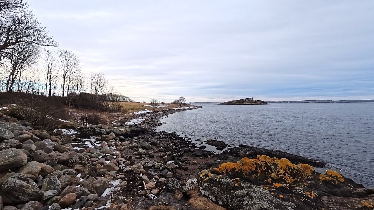 A Quiet Winter Walk by the Sea.