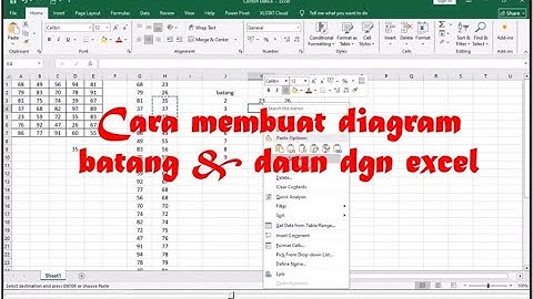 cara membuat diagram batang & daun dgn excel