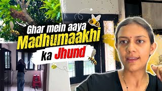 Ghar Mein Ghushi Madhu Makkhi 🐝 | Pind Pahadi Vlogs