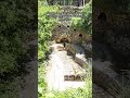Ancient Wine Press in Garden of Tomb