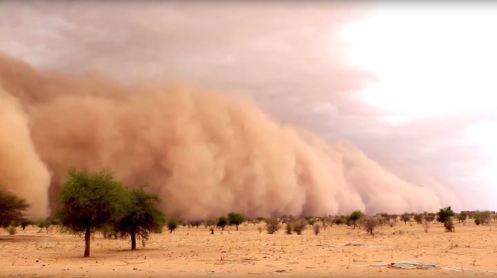Prémunir les populations contre les tempêtes de sable et de poussière