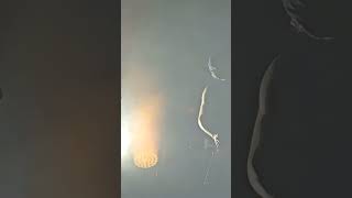 Adamlar - Dal Jj İstmarina