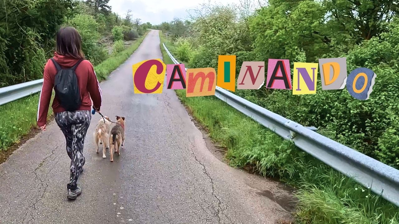 Encontramos un camino oculto que nos lleva de Quincoces de Yuso a Lastras de la Torre