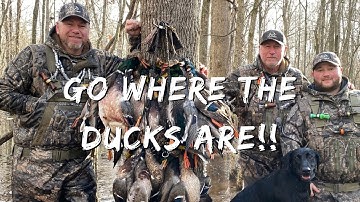 Duck Hunting