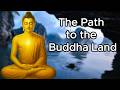 The Path to the Buddha Land