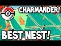 POKEMON GO IN LONDON! GREEN PARK IS THE "BEST POKEMON GO NEST" FOR
CHARMANDERS IN THE WORLD!