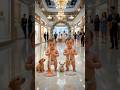 "Twin Babies at Grand Wedding Expo 💍👶 | Funny & Heartwarming Baby Shorts"
