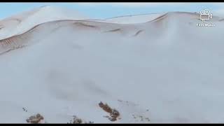 سورة القارعة.الشيخ فارس عباد.