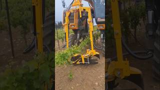 Field Demo Of Vine Stem Cleaner || Made By Pellenc France || #Shorts