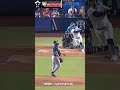 Los Sultanes de Monterrey dejan en blanco a los Rieleros después de 10 carreras