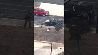 EXCLUSIVE VIDEO: Wild police chase ends in crash