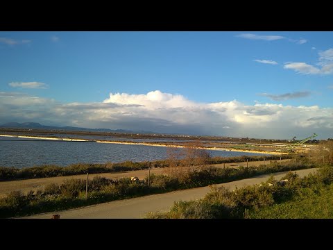 Salzfelder bei Salines de Llevant, Mallorca