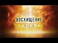 ВОСХИЩЕНИЕ ЦЕРКВИ - Вячеслав Бойнецкий