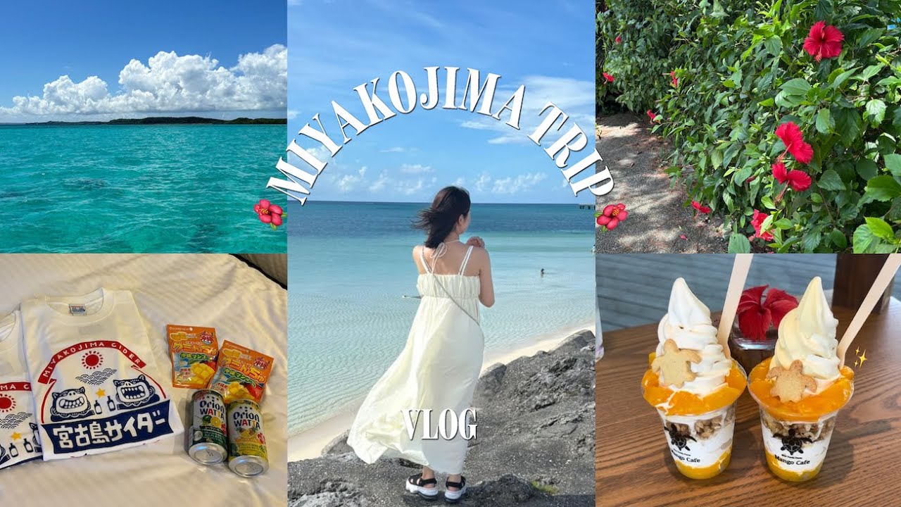 【宮古島 vlog】グルメと透き通る海に癒された２泊３日の旅🏝️🌺シュノーケリングツアーも🌊✨