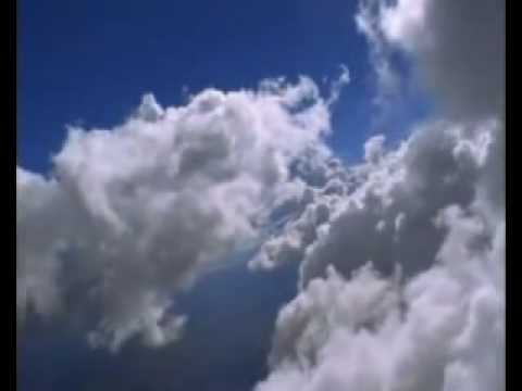 الحياة الطيبة للشيخ محمد مختار الشنقيطي مقطع مبكي 