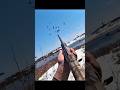 Calm mind. Steady hands. #geesehunting #goosehunting #hunting #shorts