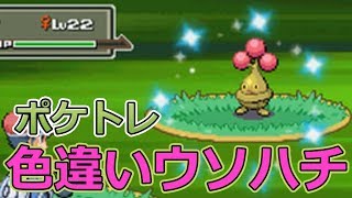 ポケモンpt ポケトレで色違いウソハチゲット ポケモンプラチナ Youtube