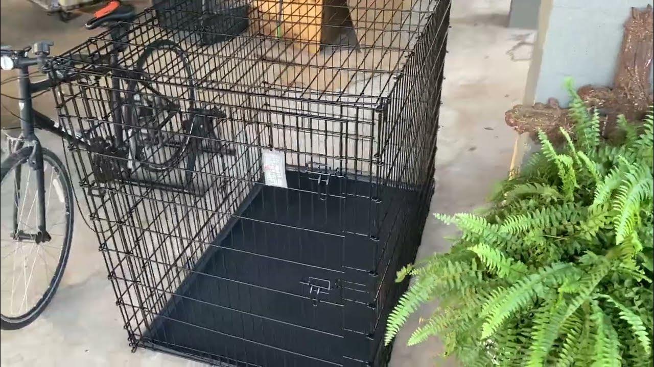 frisco-xxl-dog-crate-54-inch-youtube