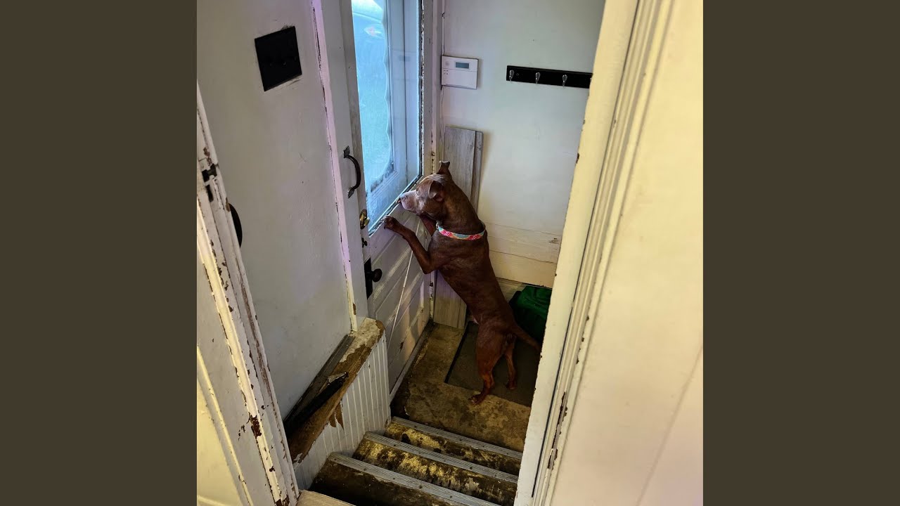 brownsville gas stations at like 2 in the morning YouTube